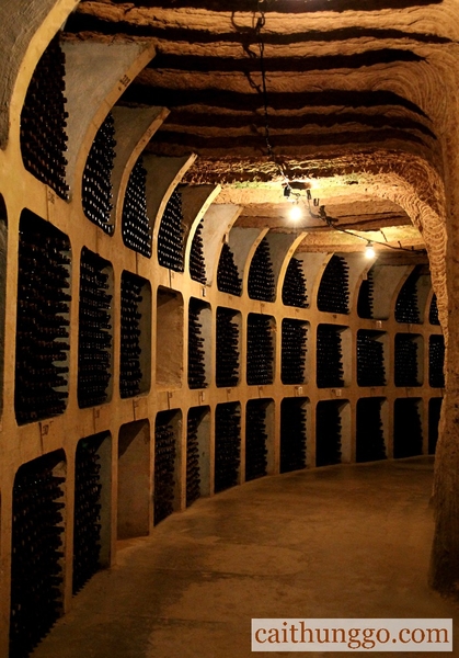 Xưởng Rượu Marques de Riscal ở Rioja, Tây Ban Nha