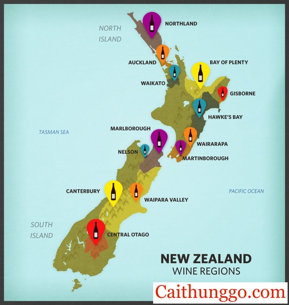 m Phá Vùng Rượu Vang New Zealand cùng Tiệm rượu Cái Thùng Gỗ