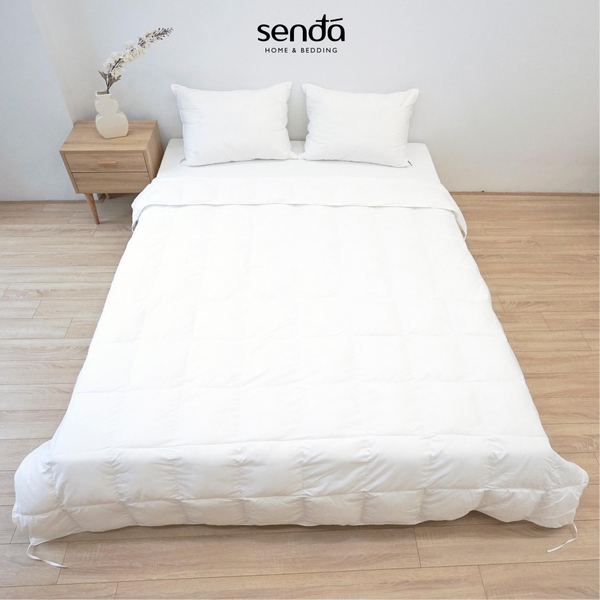 Ruột chăn bông Microfiber cao cấp mỏng nhẹ ấm áp