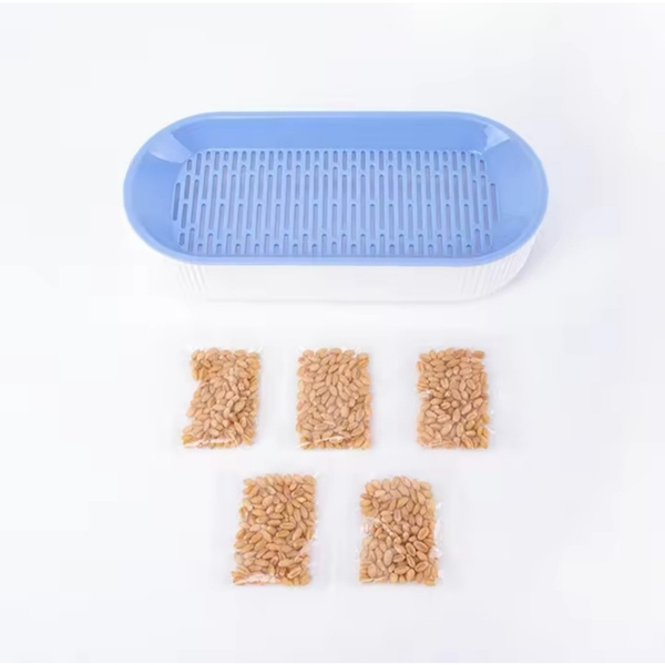 Khay trồng cỏ mèo Oval - Giúp tăng khả năng tiêu hóa