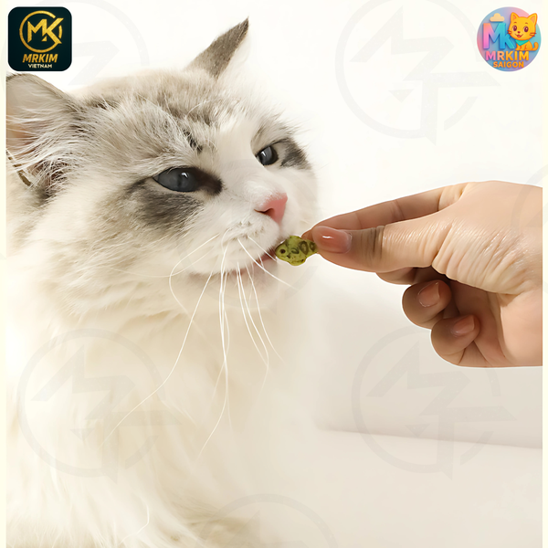 Bánh cá catnip, bánh thưởng cho mèo làm sạch răng miệng gói 40gr