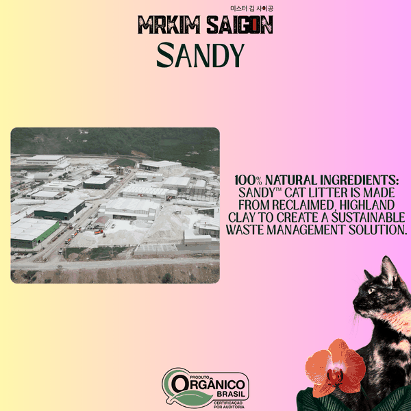 [3.8KG] CÁT VỆ SINH CHO MÈO SANDY (9L) - HƯƠNG CHANH XANH KHỬ MÙI TỐT - TỐI ƯU - TIẾT KIỆM THỜI GIAN DỌN DẸP CHO MÈO