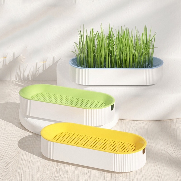 Khay trồng cỏ mèo Oval - Giúp tăng khả năng tiêu hóa