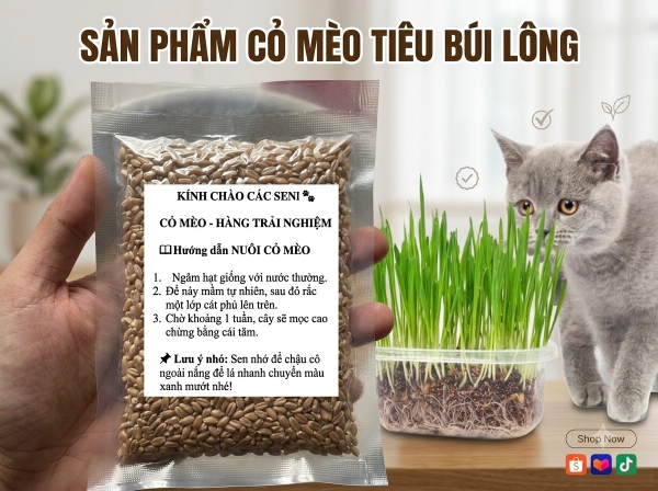 2 GÓI CỎ MÈO TẶNG 1 = 3