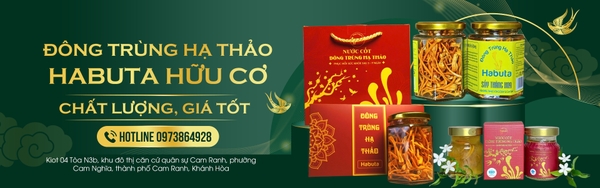 Đông Trùng Hạ Thảo Habuta