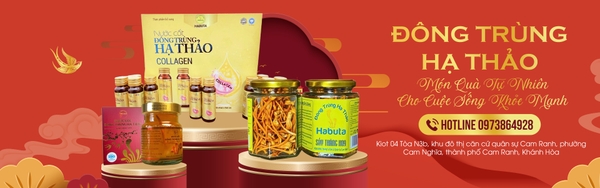 Đông Trùng Hạ Thảo Habuta