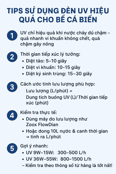 TIP sử dụng đèn UV hiệu quả cho bể cá biển