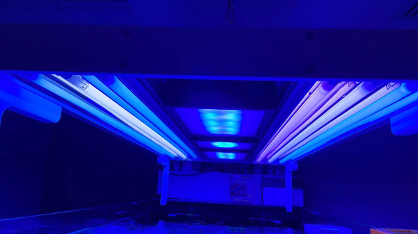 Đèn Haizhsen tái tạo ánh sáng giữa T5HO, LED giúp người chơi san hô thành công nhanh.