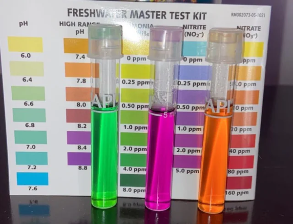 Dụng cụ test ammonia, nitrite, nitrate trong quá trình cycle hồ cá biển
