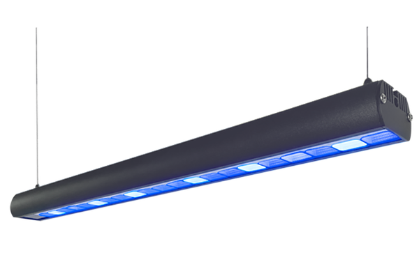 LEDBAR ZOOX ACTINIC SHINNER - BẢN CHIẾU TỎA