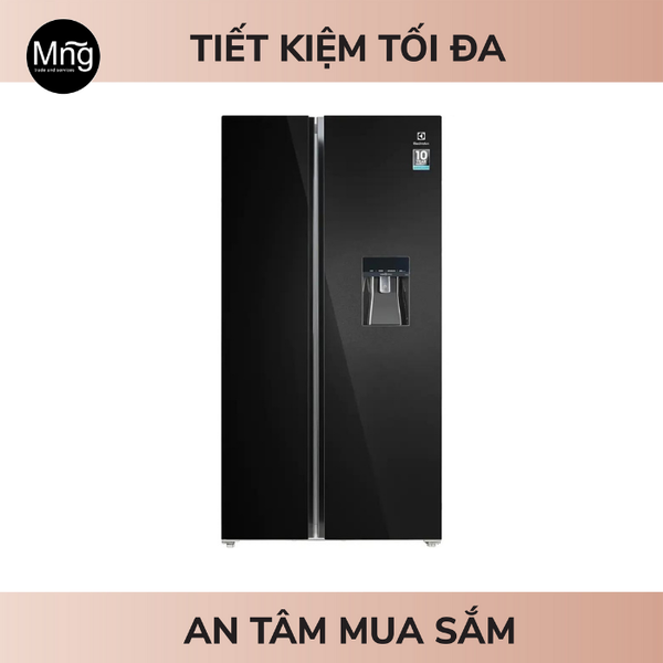 Tủ lạnh Electrolux Inverter 619 lít ESE6645A-BVN