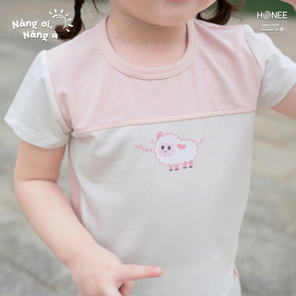 (C3.5) Bộ cộc tay báo hiệu xẻ tà 7942 Honee