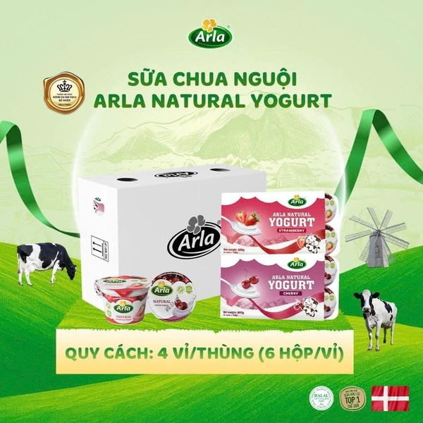 Sữa Chua Nguội Arla vị Cherry - Vỉ 6 Ly x 100g (1Y+)