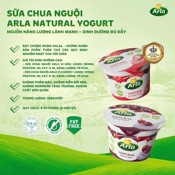 Sữa Chua Nguội Arla vị Xoài - Vỉ 6 Ly x 100g (1Y+)