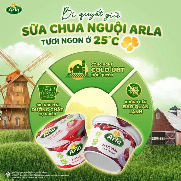 Sữa Chua Nguội Arla vị Xoài - Vỉ 6 Ly x 100g (1Y+)