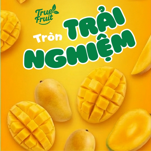 Sữa chua hoa quả Hoff vị xoài 4x55g (6M+)