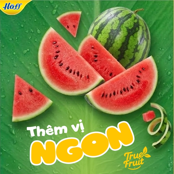 Sữa chua hoa quả Hoff vị dưa hấu 4x55g (6M+)