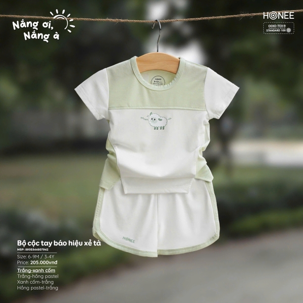 (C3.5) Bộ cộc tay báo hiệu xẻ tà 7942 Honee