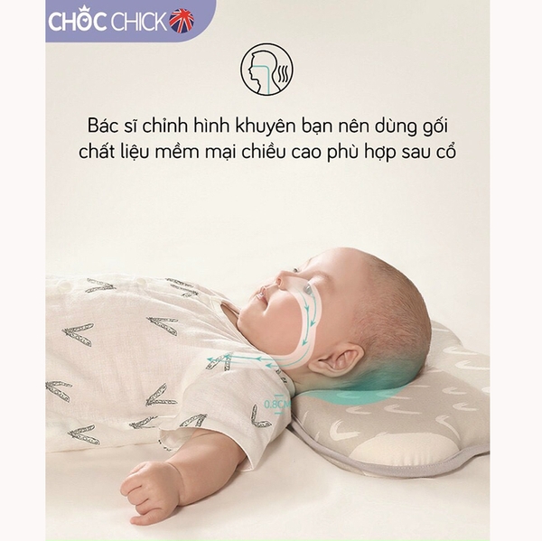 Gối cao su mây Choc Chick 36x23cm màu ngẫu nhiên