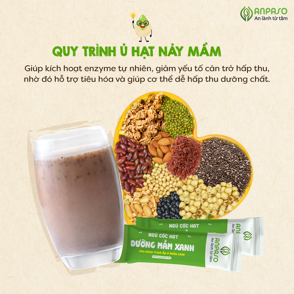 Ngũ cốc dưỡng mầm xanh Anpaso (Dành cho mẹ bầu)