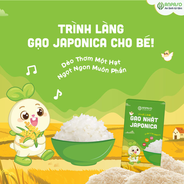 Gạo Nhật Japonica Anpaso 1kg