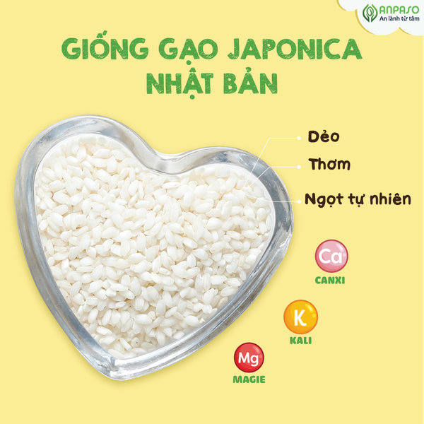 Gạo Nhật Japonica Anpaso 1kg