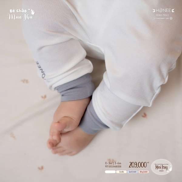Bộ sơ sinh dài tay cài chéo Mini Foxy Honee 8581