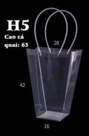 Túi H5