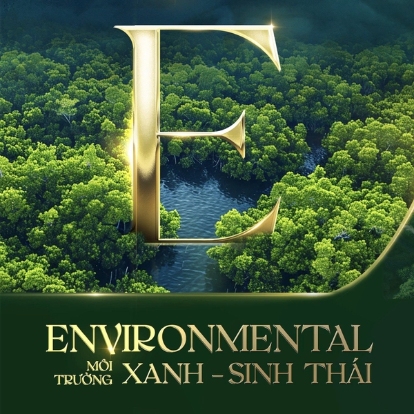 Rừng sinh thái tự nhiên bao quanh dự án Vinhomes Green Paradise Cần Giờ