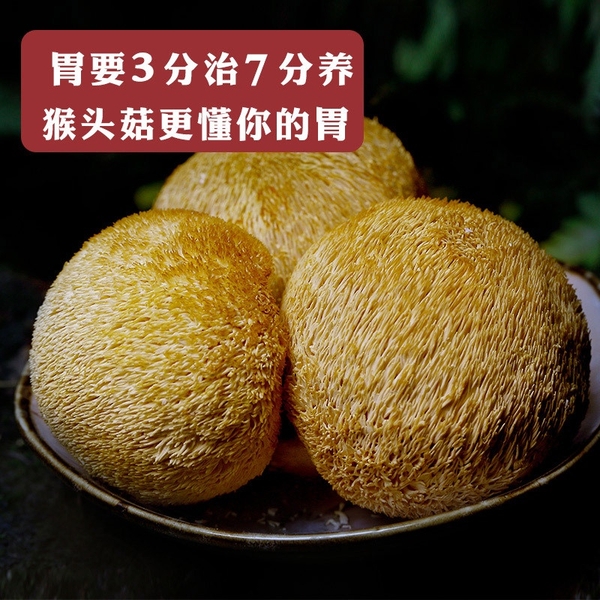 [Thịt Dày] Nấm Hầu Thủ - Nấm Đầu Khỉ khô nguyên chất - cực tốt cho dạ dày (200g & 250g)