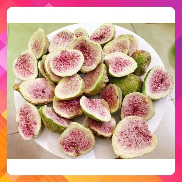 SUNG SẤY GIÒN(sỉ giá tốt)