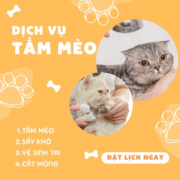[Demo 3] Dịch vụ tắm Spa trọn gói cho Mèo