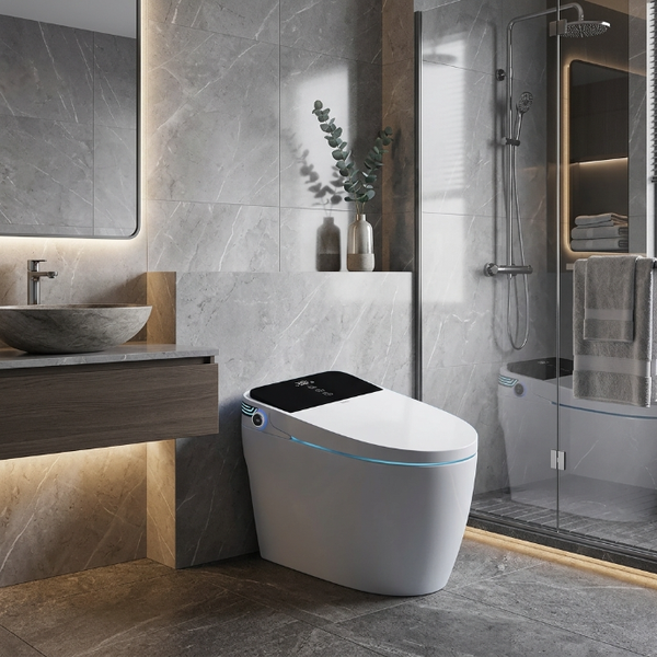 Bồn cầu thông minh LUX - S555