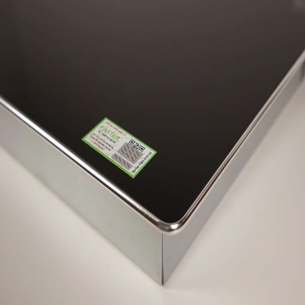 Bếp từ đôi Faster FS 389I