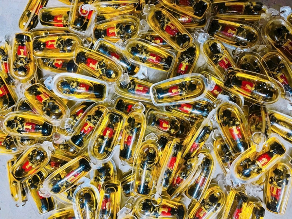 Amulet Kuman ôm túi tiền