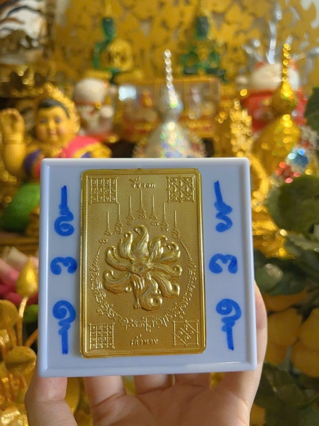 Hộp hồ ly sáp cứng - trưng bày
