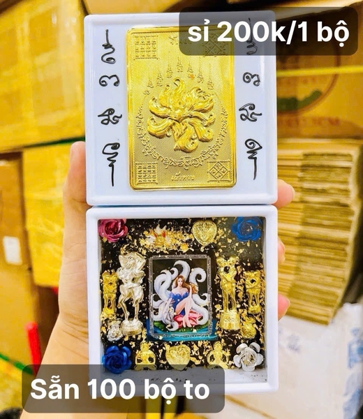 Hộp hồ ly sáp cứng - trưng bày
