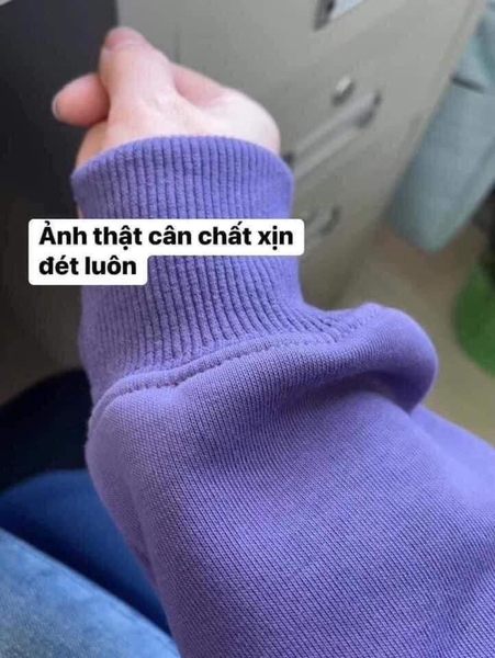 Áo nỉ lót lông in hình Monster và DAPUMI 2 màu tím, xanh