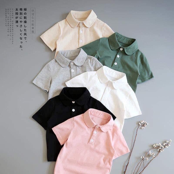 Áo phông xuất Hàn Polo cổ sen 6 màu