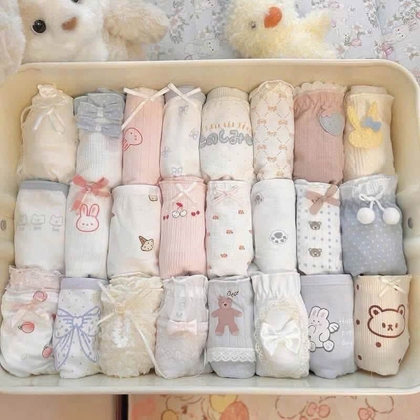 Set 8 quần chip cotton nguyên chất loại cao cấp 7A kháng khuẩn bóc túi mù