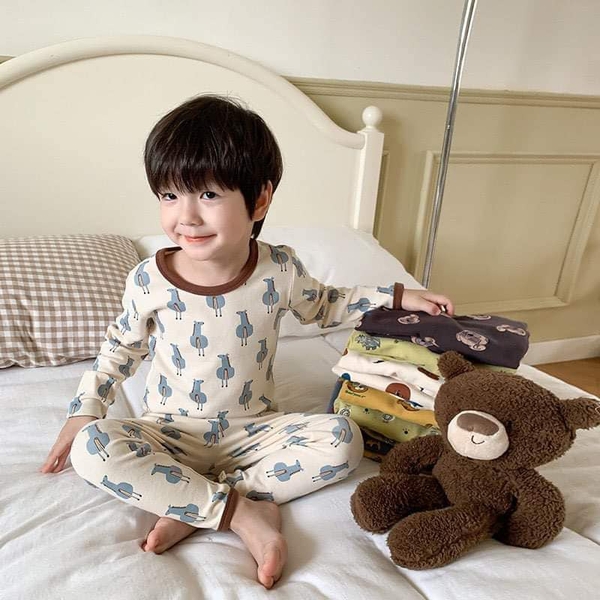 Bộ cotton xuất Hàn dài tay 22 mẫu cho bé