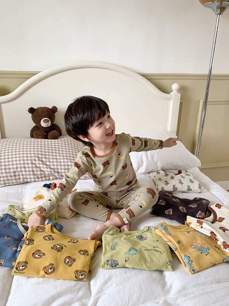 Bộ cotton xuất Hàn dài tay 22 mẫu cho bé
