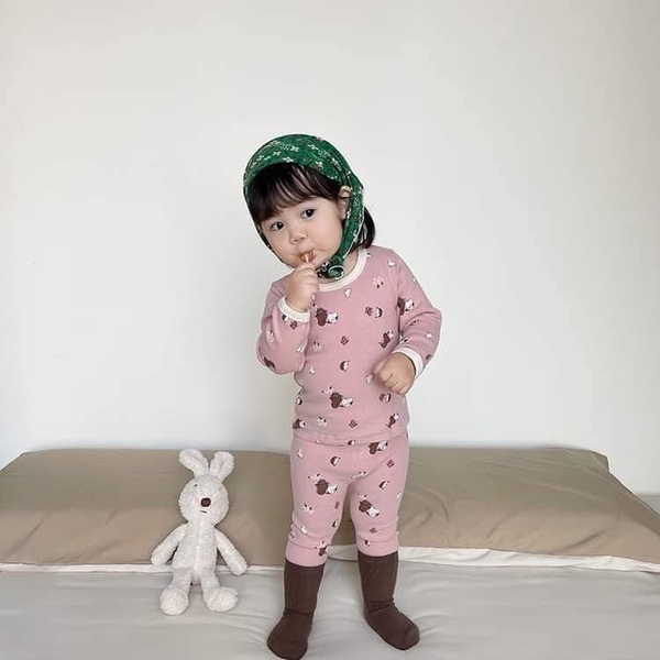 Bộ cotton xuất Hàn dài tay 22 mẫu cho bé
