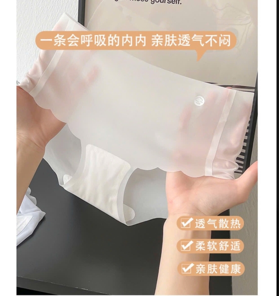 Set 10 quần chip su lụa lạnh cho nữ