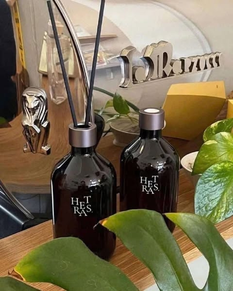 Tinh dầu thơm Hetras nhiều mùi kèm đũa khuếch tán 500ml