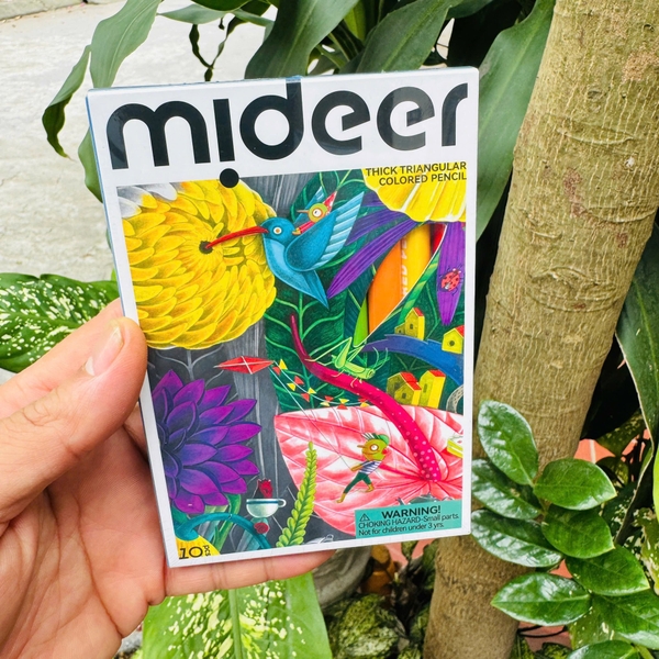 Hộp 10 bút chì màu Mideer