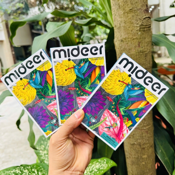 Hộp 10 bút chì màu Mideer