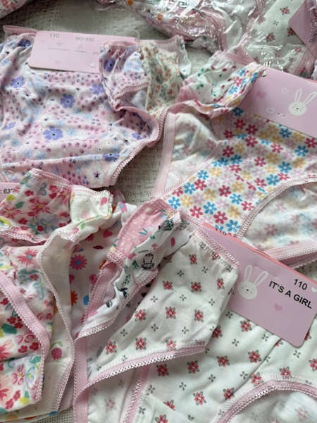 Set 12 quần chip cotton tam giác cho bé gái họa tiết hoa nhí, trái tim hồng...