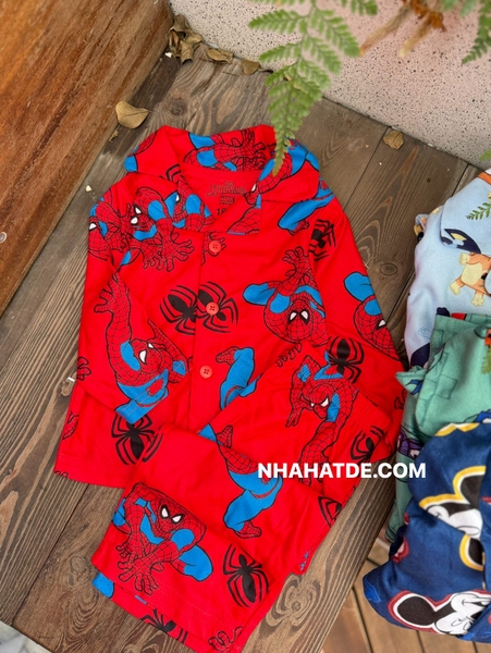 Bộ pyjamas nỉ dạ dài tay Disney Mickey, Bluey, Spiderman bé trai 4 mẫu