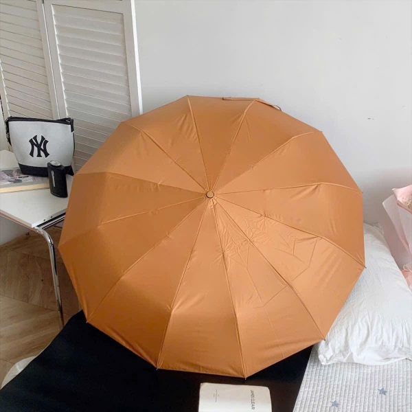 Ô cầm tay gấp tự động 7 màu